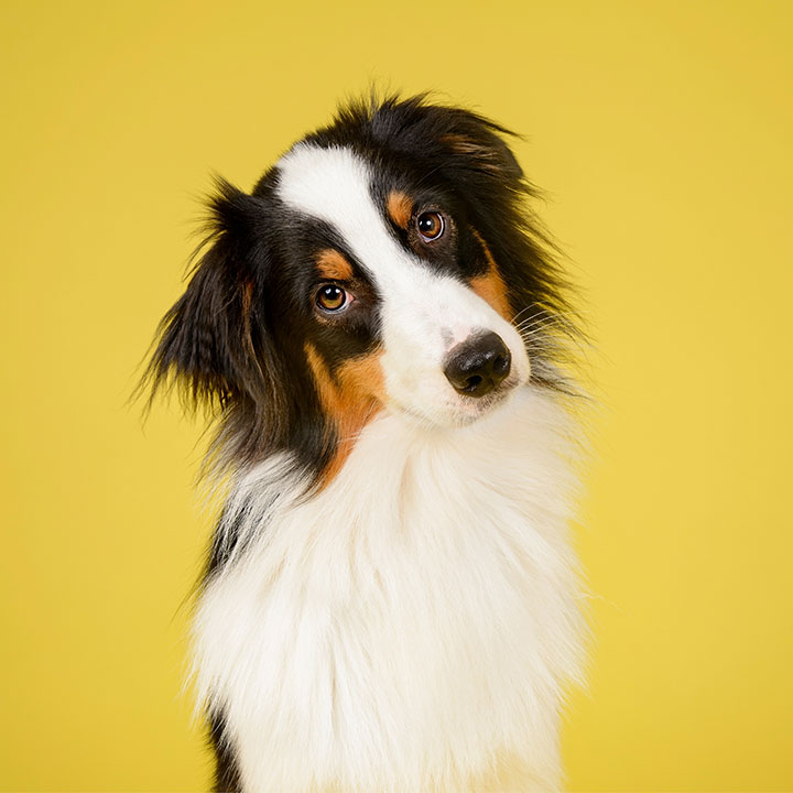 Vad kan jag själv göra?