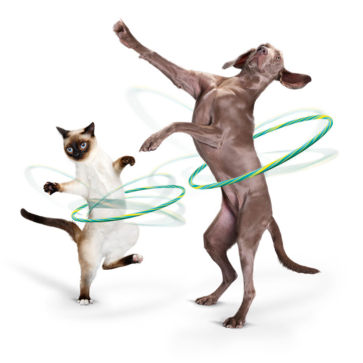 En balanserad tarmflora