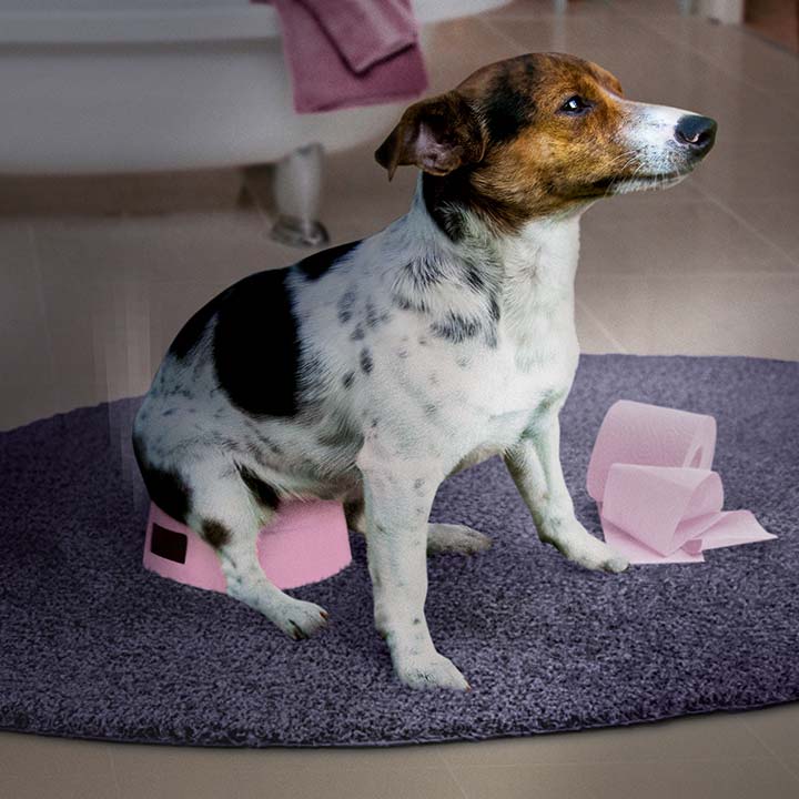 Undvik diarré i stressiga situationer