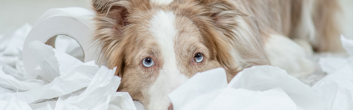 Är olyckan redan framme?