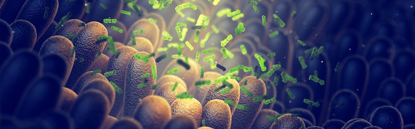 Canikur – effekt och användning