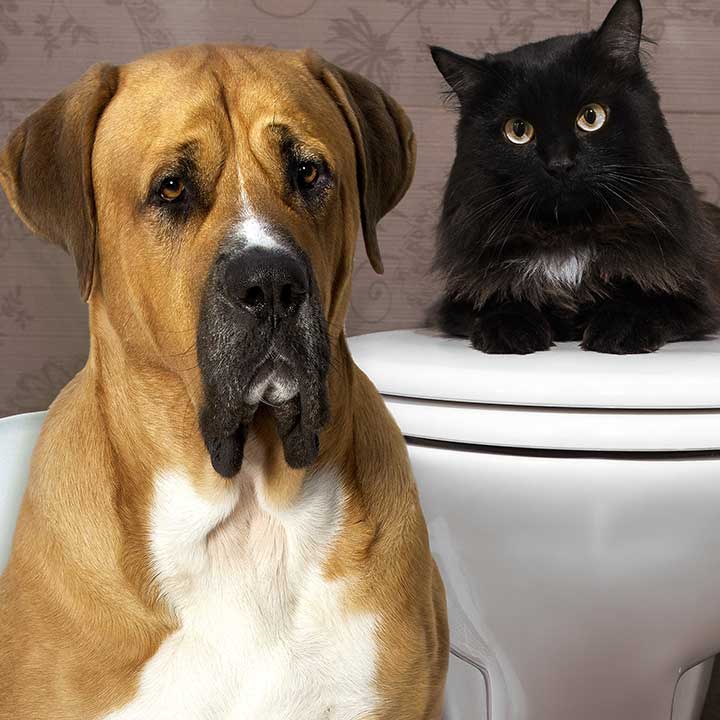 Mer om Canikur Pro pasta