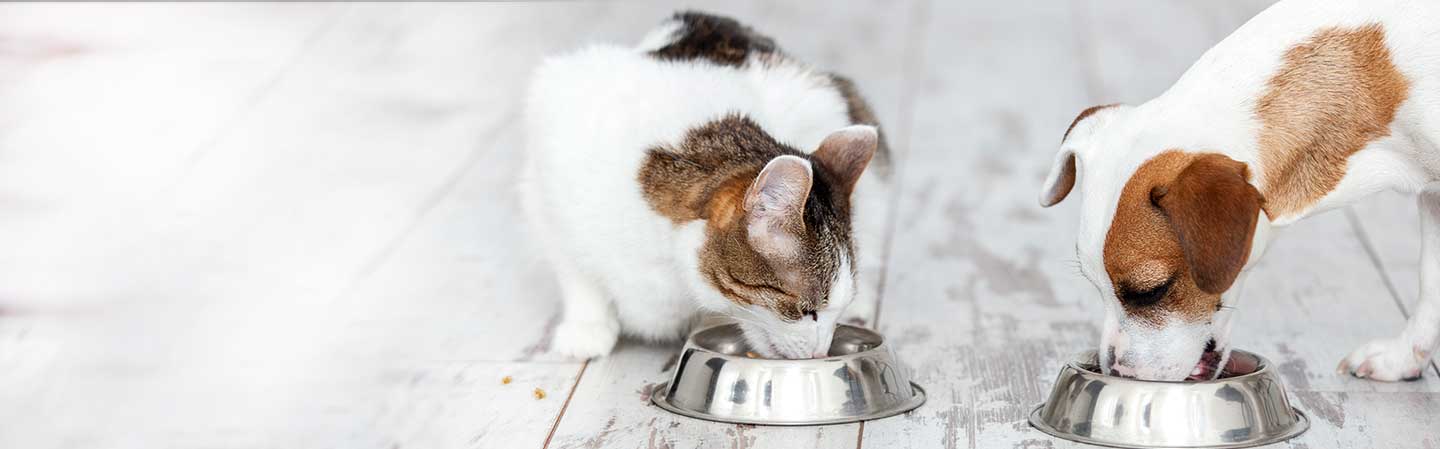 Orsaker till diarré