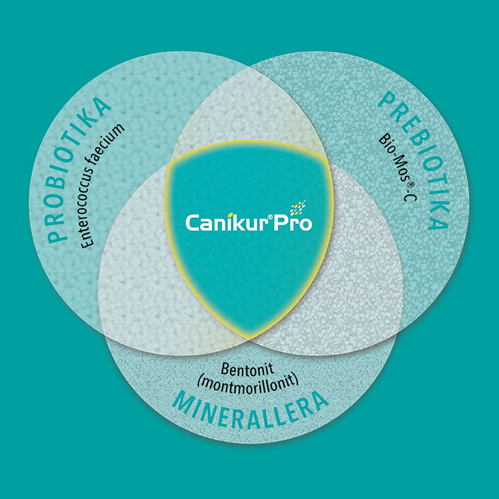 Tredubbel kombination